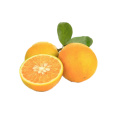 Reines sprühgetrocknetes Fruchtpulver Orangenpulver zur Herstellung von Saftpulver